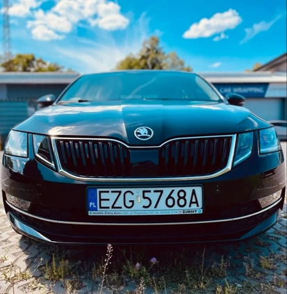 Skoda Octavia cena 69000 przebieg: 81000, rok produkcji 2018 z Zgierz małe 436